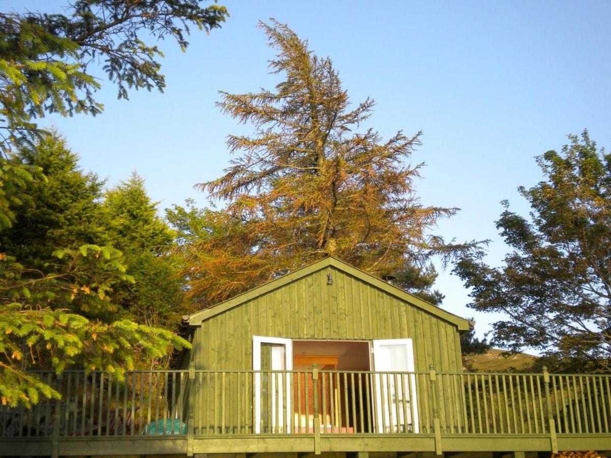The Green House Glenelg Exterior foto
