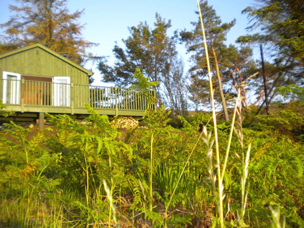 The Green House Glenelg Exterior foto